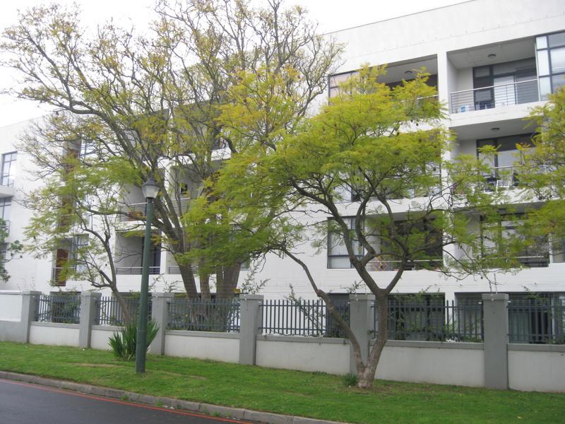 To Let 1 Bedroom Property for Rent in Stellenbosch Central Western Cape